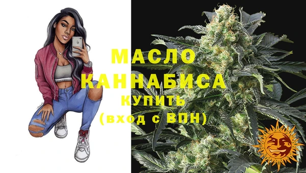 шишки Заволжск