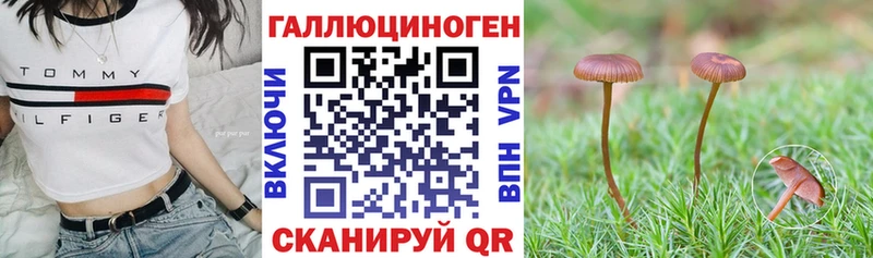 Псилоцибиновые грибы Cubensis  Балабаново 